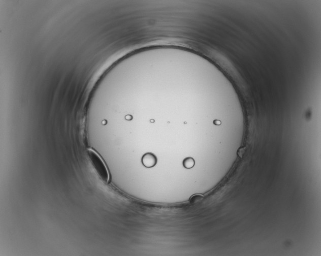 X0000116291284200912211833