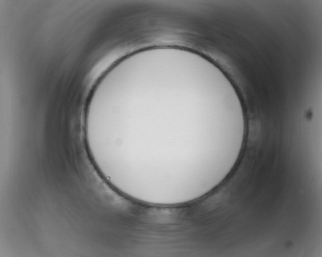 X0000116291286200912211833