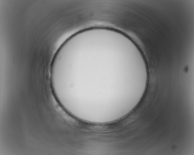 X0000116291287200912211833