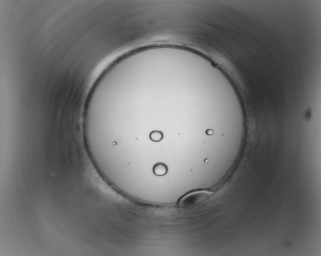 X0000116291288200912211833