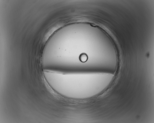 X0000116291289200912211833