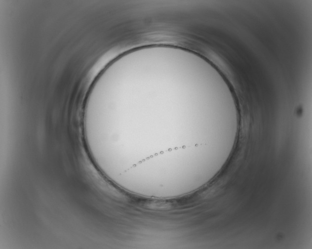 X0000116291291200912211833