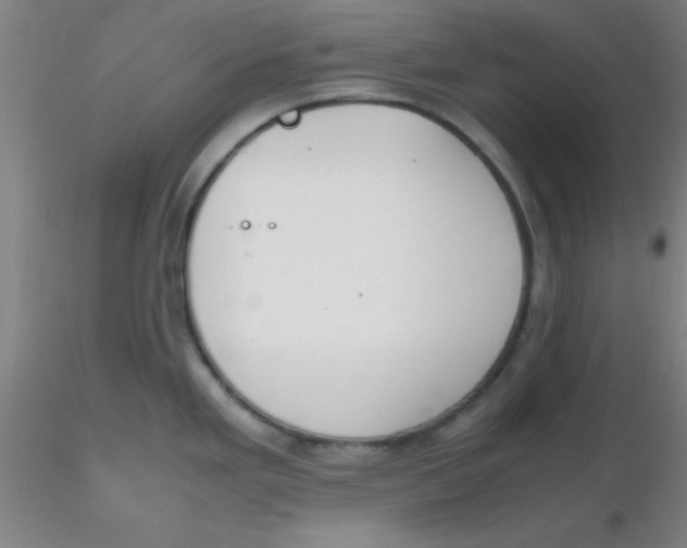 X0000116291293200912211833