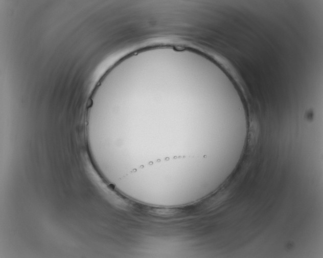 X0000116291295200912211833