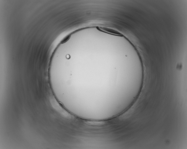 X0000116291296200912211833