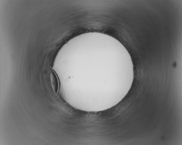 X0000116291297200912211832