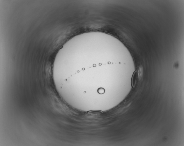 X0000116291299200912211832