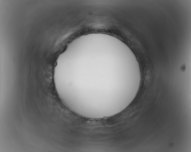 X0000116291301200912211832