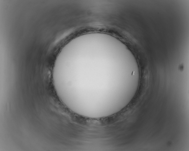 X0000116291302200912211832