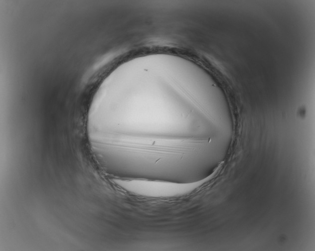 X0000116291303200912211832