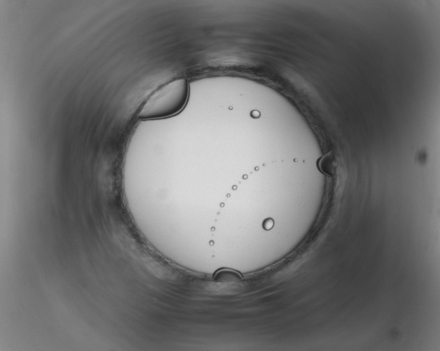 X0000116291305200912211832