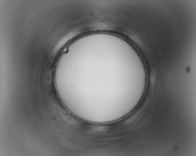 X0000116291309200912211832