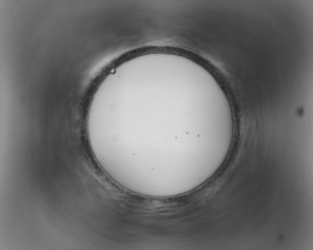 X0000116291311200912211832