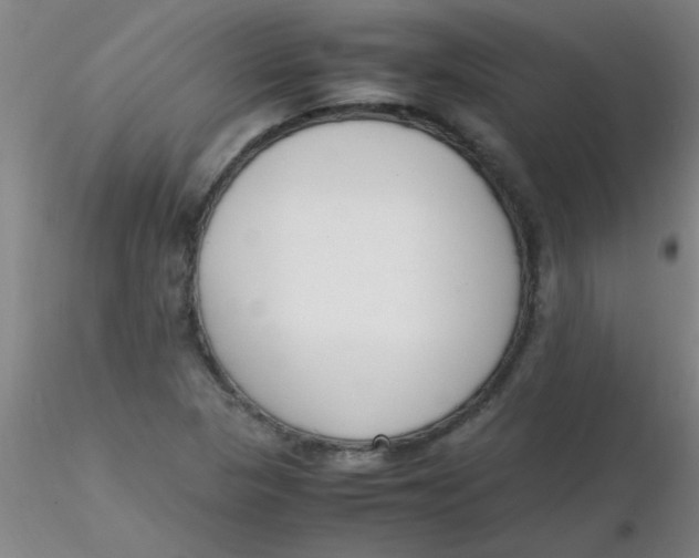 X0000116291313200912211832