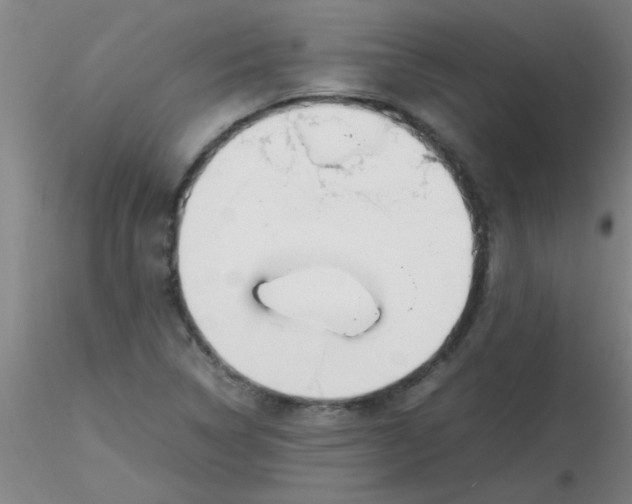 X0000116291314200912211832