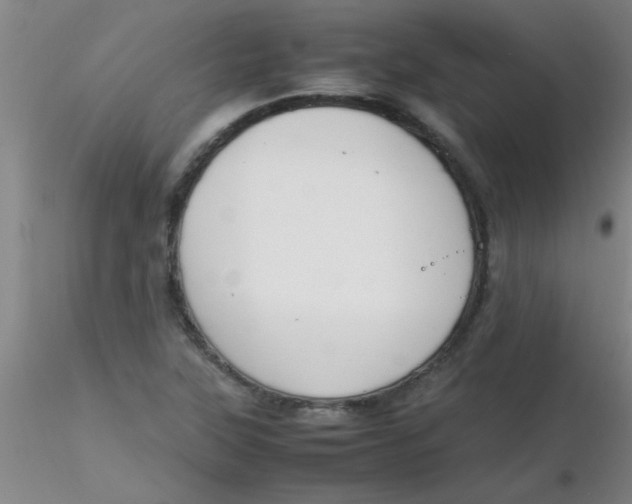 X0000116291315200912211832