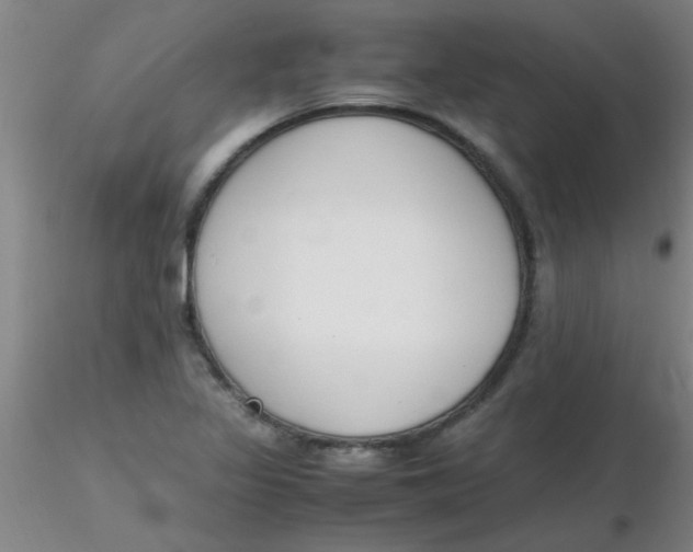 X0000116291317200912211832