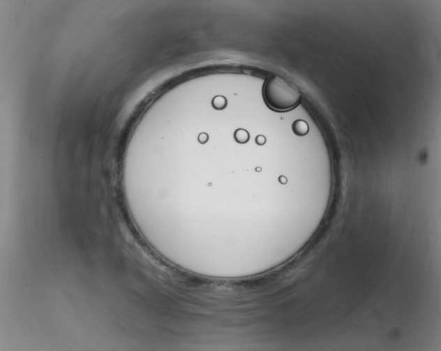 X0000116291318200912211832