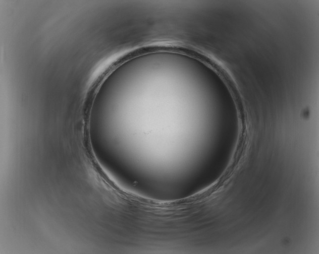 X0000116291319200912211832