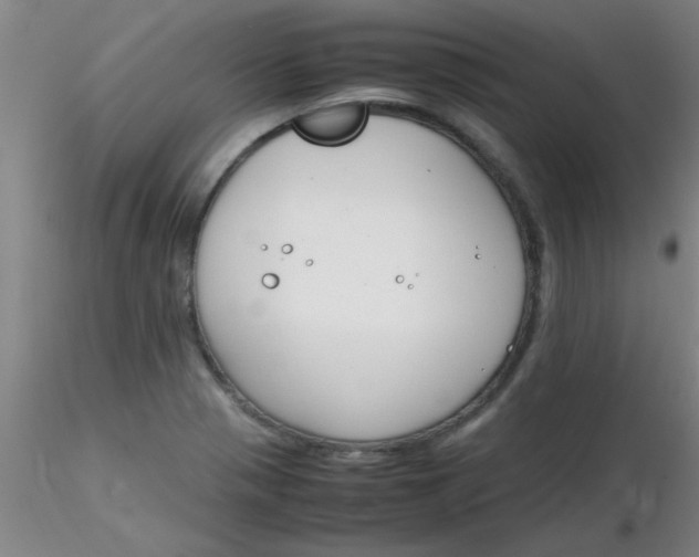 X0000116291321200912211832