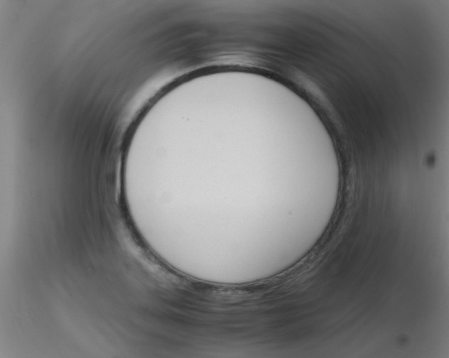 X0000116291323200912211832