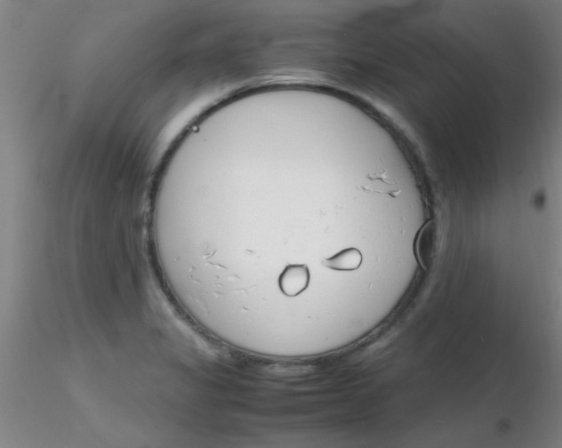 X0000116291325200912211832