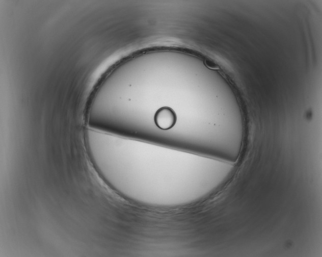 X0000116291326200912211832