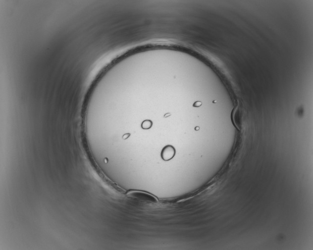 X0000116291327200912211832