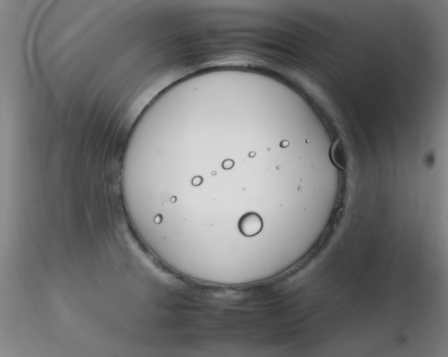 X0000116291329200912211832