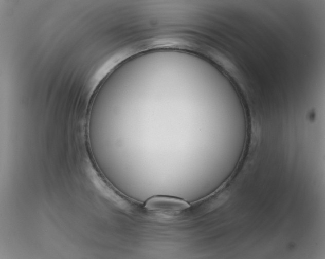 X0000116291330200912211832