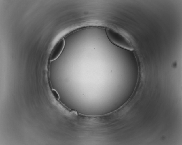 X0000116291334200912211832