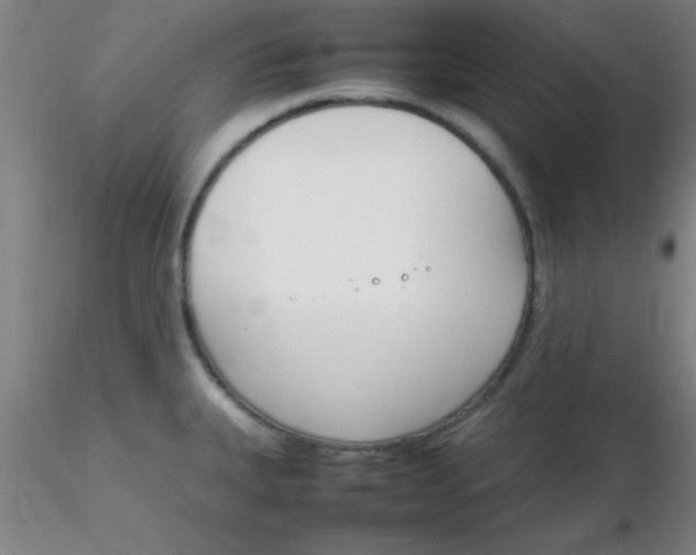 X0000116291335200912211832