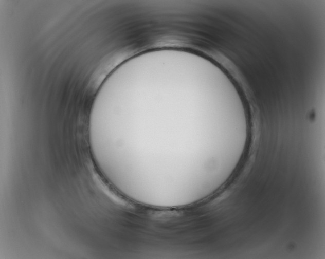 X0000116291337200912211832