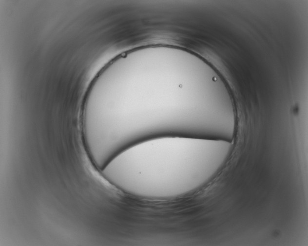 X0000116291339200912211832