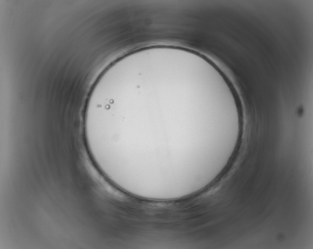 X0000116291341200912211832