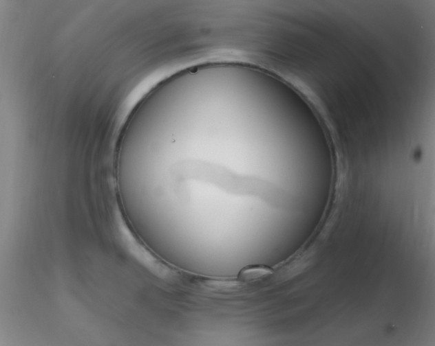 X0000116291342200912211833