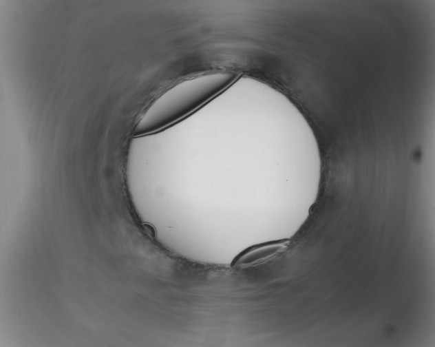 X0000116291345200912211832