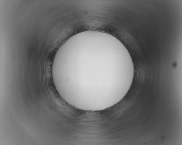 X0000116291346200912211832