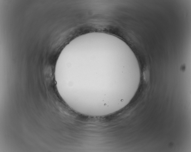 X0000116291347200912211832