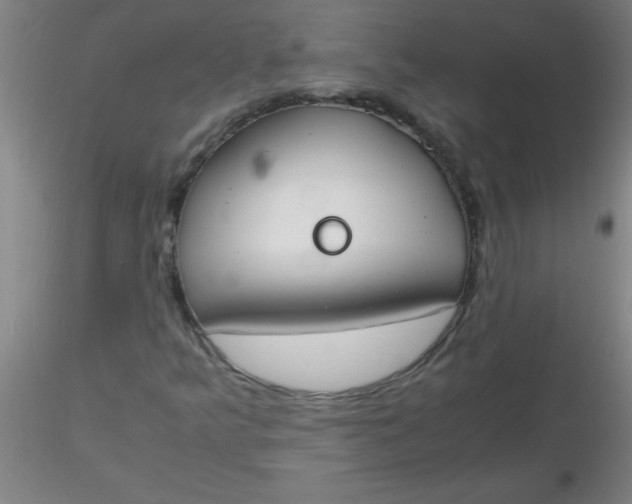 X0000116291349200912211832