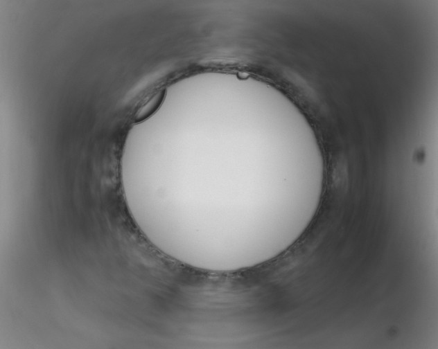 X0000116291350200912211832