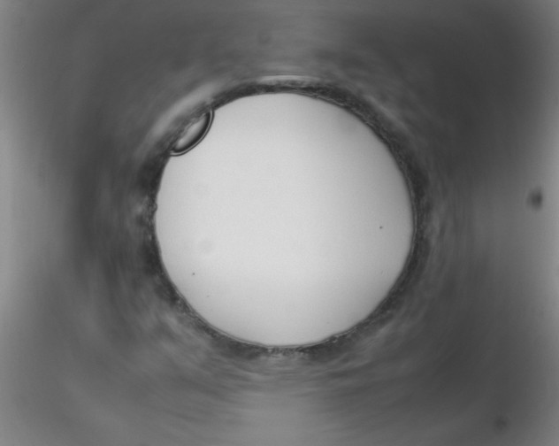 X0000116291351200912211832