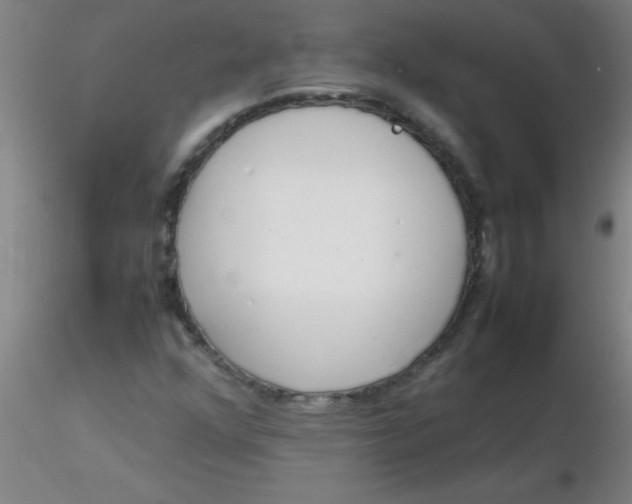 X0000116291352200912211832