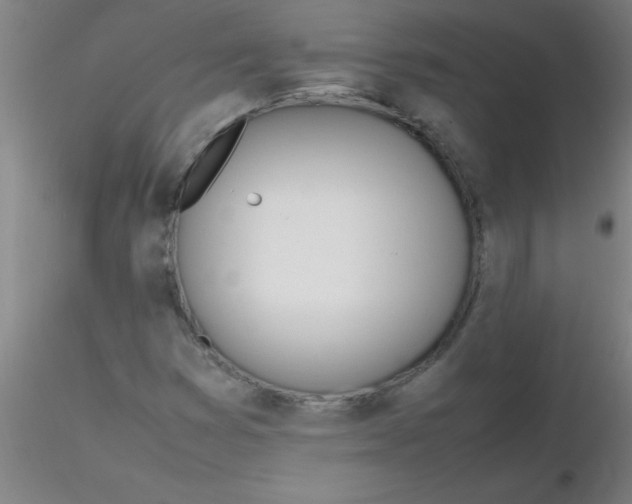 X0000116291353200912211832