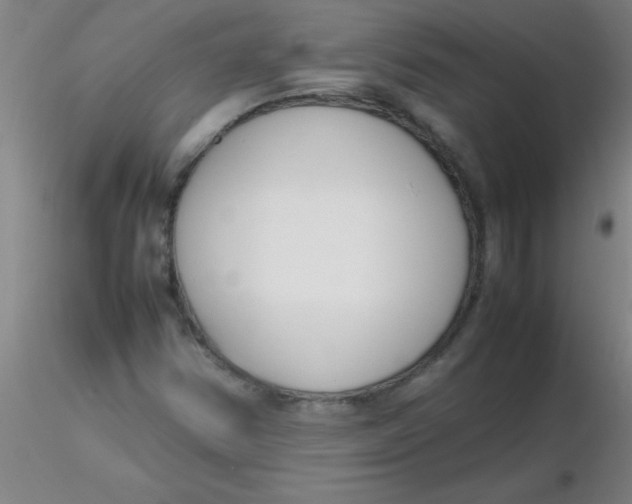 X0000116291354200912211832