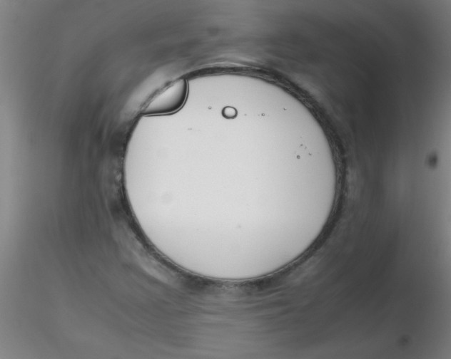 X0000116291355200912211832