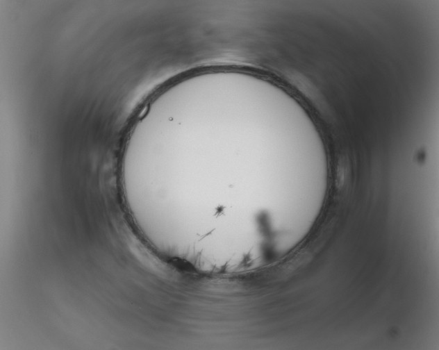 X0000116291356200912211832