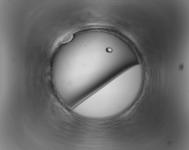 X0000116291357200912211832