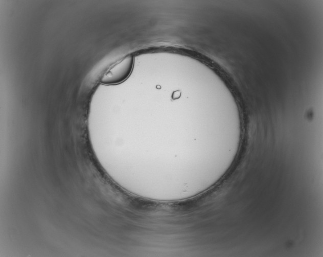 X0000116291359200912211832