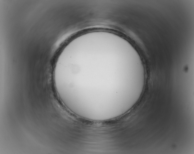 X0000116291360200912211832